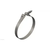 Cummins 4328746 Obejma T-Bolt | Cześci Cummins
