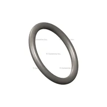 Cummins 3678606 Uszczelka typu O-ring | Sklep Cummins