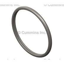 Cummins 3942454 Uszczelka typu D-ring | Sklep Dealera Cummins
