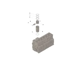 Cummins 3934585 Zestaw cylindra | Cześci Cummins