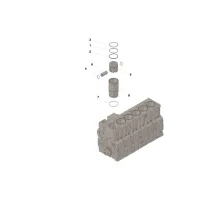 Cummins 3934585 Zestaw cylindra | Cześci Cummins
