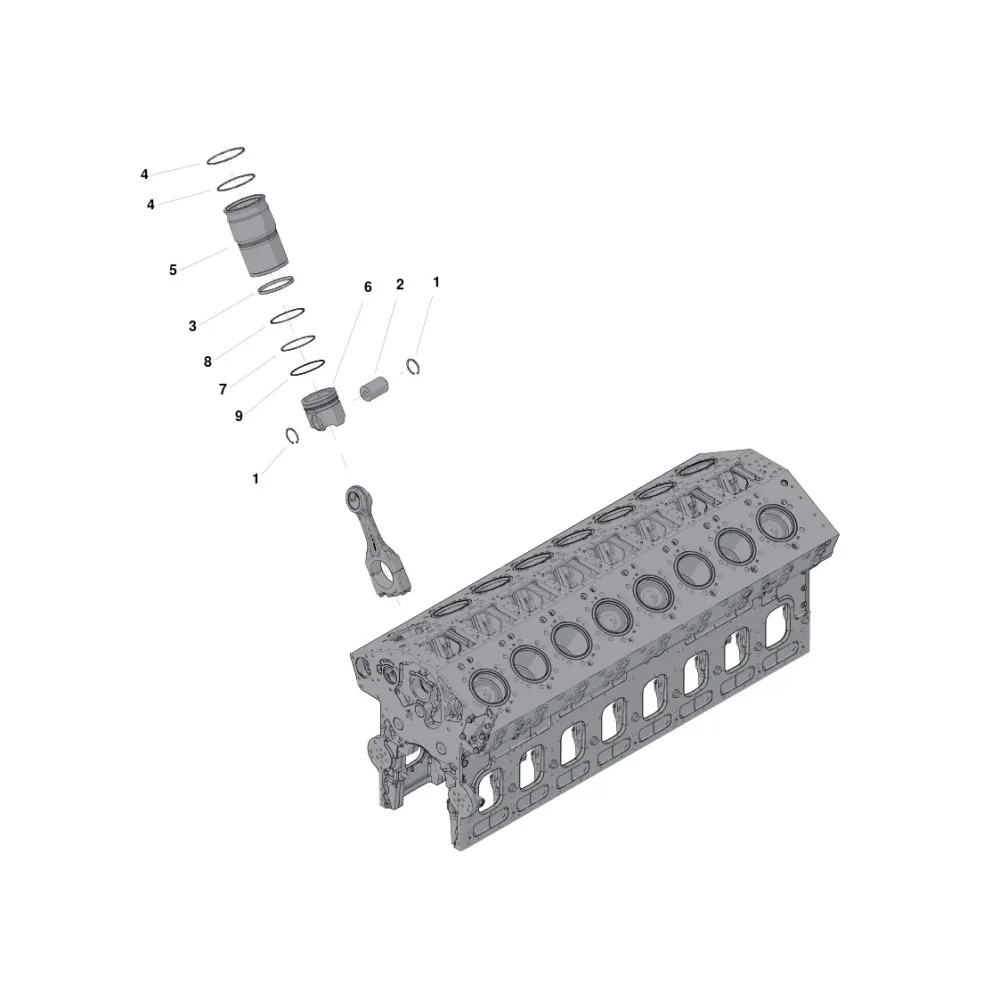 Cummins 3804444 Zestaw cylindra | Cześci Cummins