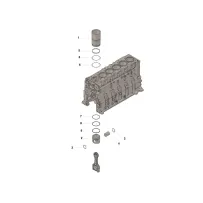 Cummins 3804459 Zestaw cylindra | Cześci Cummins