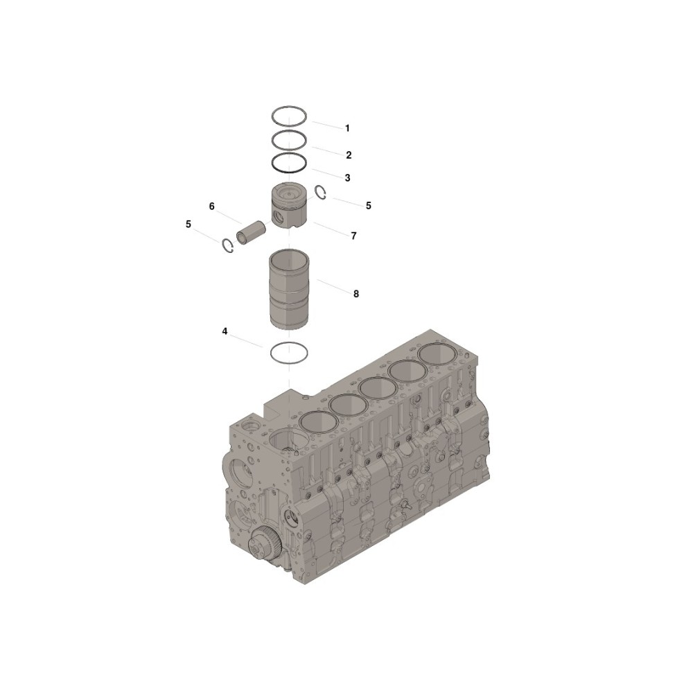 Cummins 3802399 Zestaw cylindra | Cześci Cummins