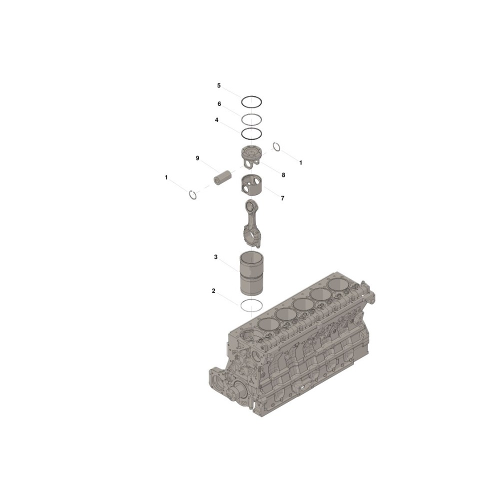 Cummins 4025164 Zestaw cylindra | Cześci Cummins