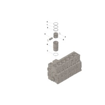 Cummins 4025369 Zestaw cylindra | Cześci Cummins